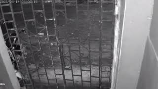 8/14/26 CCTV Recorded at 3am (Watch Closely)
