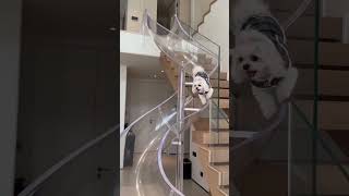 Custom Pet Apparel Manufacturing 🐶✨ | OEM &amp; ODM Services Explained!