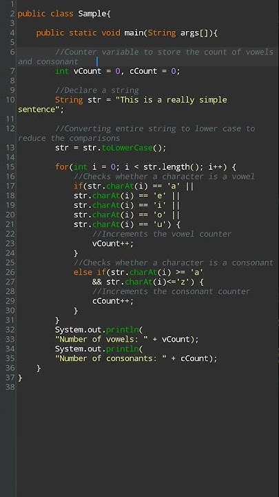 Count Vowels and consonant | Java | Software Engineer | Programming ...