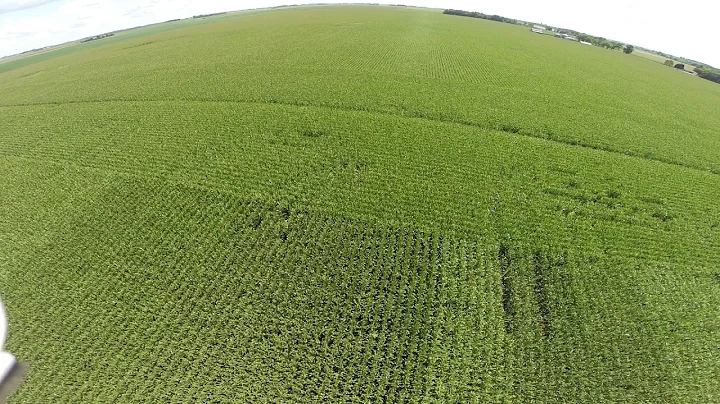 Swart GPA Plot
