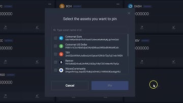 How to add a Token to your dashboard in Waves Exchange
