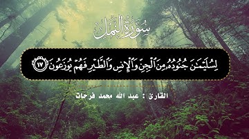 ما تيسر من سورة النمل لفضيلة الشيخ عبدالله محمد فرحات ...محاكاة رائعة لفضيلة الشيخ محمود خليل الحصري