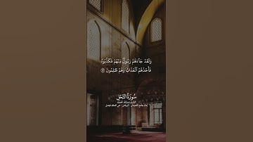 ما تيسر من سورة النحل | القارئ عبد الله الحميّد #اكسبلور #المصحف #القرآن_الكريم