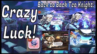Insane Gacha Luck! Back to Back Tea Knight From Books! Sea Fairy, Eclair and The New Treasure!