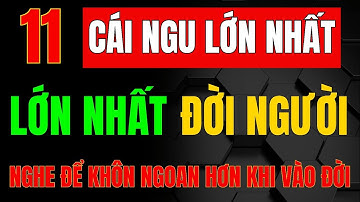 11 Lầm Lạc Thường Thấy Trong Đời Người - Bài Học Cổ Nhân Để Sống Khôn Ngoan Hơn