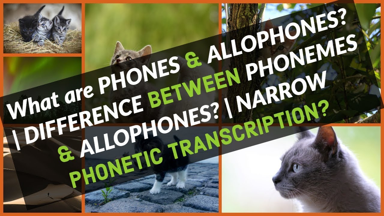 What Are Phones And Allophones | Phonemes & Allophones Difference ...