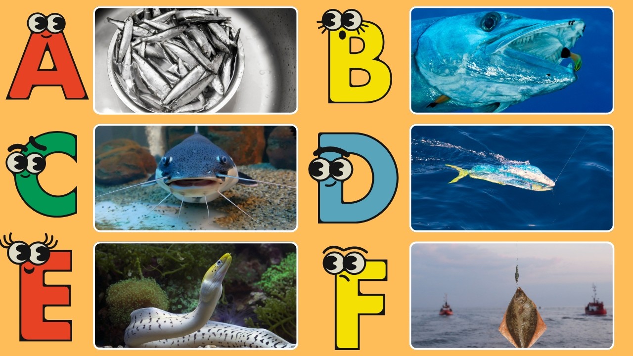 ABC Fish Song for Children 🐡 Fun Underwater Learning Video - YouTube