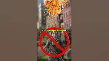 Ellie Is NOT Immune - Theory #TheLastOfUs