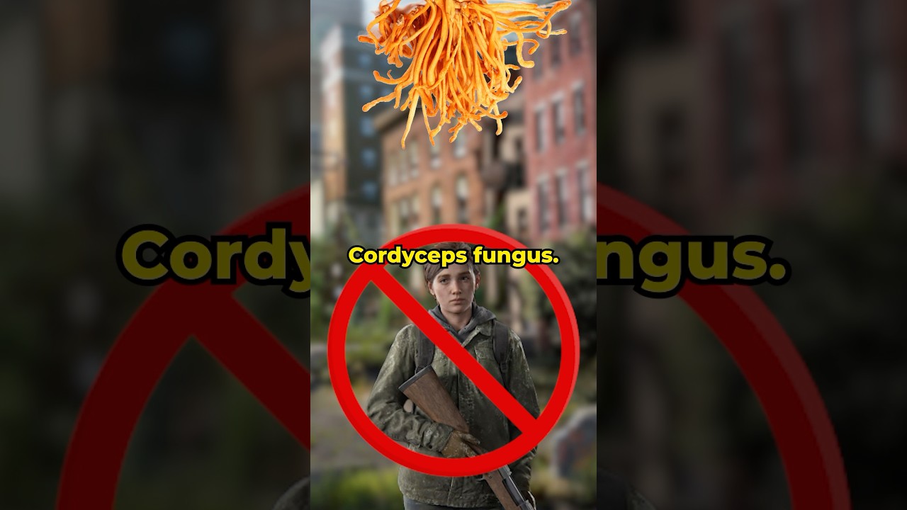 Ellie Is NOT Immune - Theory 