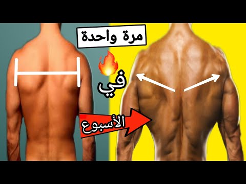 فيديو: كيفية ضخ ظهرك بسرعة