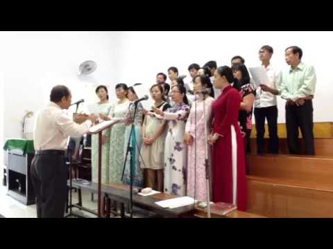 Video Cây cao bóng cả - youtube