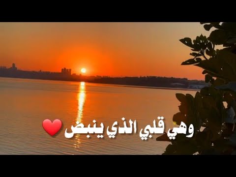 أمي هي عيني التي أرى بها الدنيا