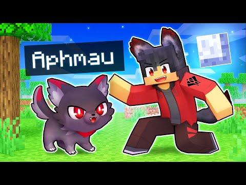 Playing As A LOYAL Werewolf KITTEN In Minecraft!