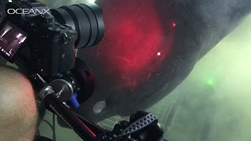 Massive Deep Sea Shark Checking Out Our Submarine!