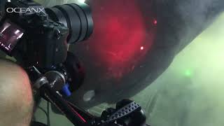 Massive Deep Sea Shark Checking Out Our Submarine! Wealth