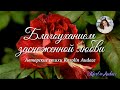 Благоуханием заснеженной зимы. Авторские стихи Karolin Audace #Каролин_Одас #стихи  #стихиолюбви