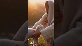 i am the good shepherd #bible #bibleverse #jesus #goodshepherd
