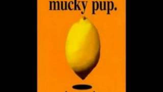 Mucky Pup - The T.V&#39;s on fire