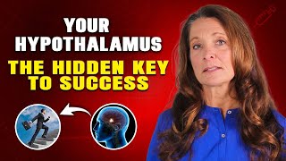 How Supporting Your Hypothalamus | Transforms Health and Leadership Success