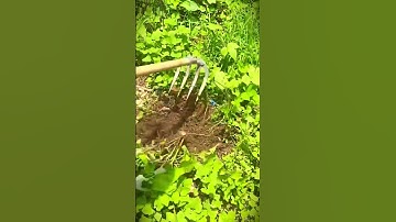 simple smart tool for scratching grass and weeds #shorts