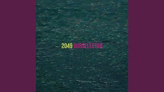 2049