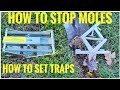 HOW TO STOP MOLES How To Set Mole Traps Scissor Trap