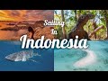 Komodo dragons padar island whale sharks 4day boat adventure from lombok to flores