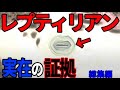 レプティリアンが実在する証拠をついに発見…地球上に存在した謎の入口の正体とは【総集編】