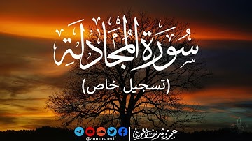 سورة المجادلة | تسجيل خاص | عمرو شريف الحويني