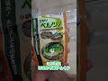 いなりのうんち掃除