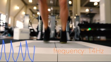 Performance Analysis // CONTEMPLAS®