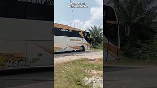 Basuri bus pariwisata Bono Wisata shortvideo