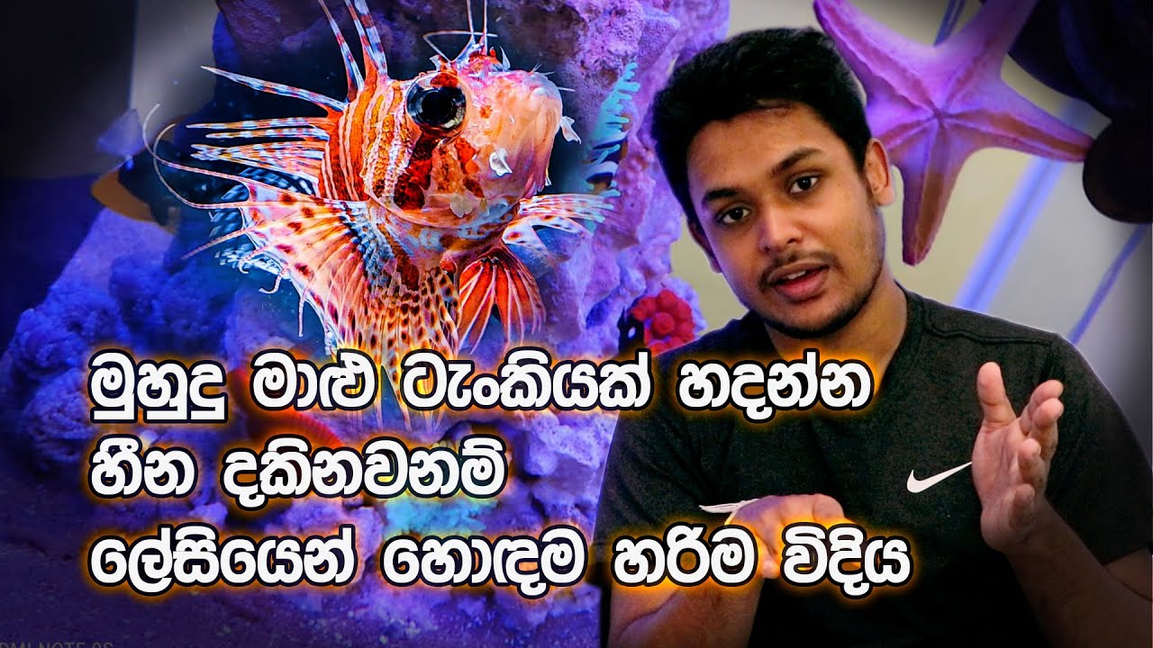 මුහුදු මාළු ටැංකියක් හදන්න හීන දකිනවනම්  ලේසියෙන් හොඳම හරිම විදිය How to Set Up a Saltwater Aquarium