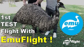 EmuFlight || 1st Flight || 6S FPV Freestyle (Emu 0.1.0) [TEST #001]