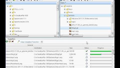 GoodbyeFtp 1005 File Transfer