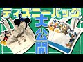 男2人のディズニー用バッグの中身大公開！