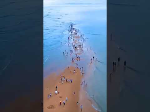 ONA MAAJABU BAHARI YA SHAMU HAPA NDIPO MAHALI MUSSA ALITENGENEZA NJIA KWA FIMBO