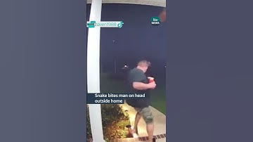 Snake bites man on head outside home #itvnews #snake #usa