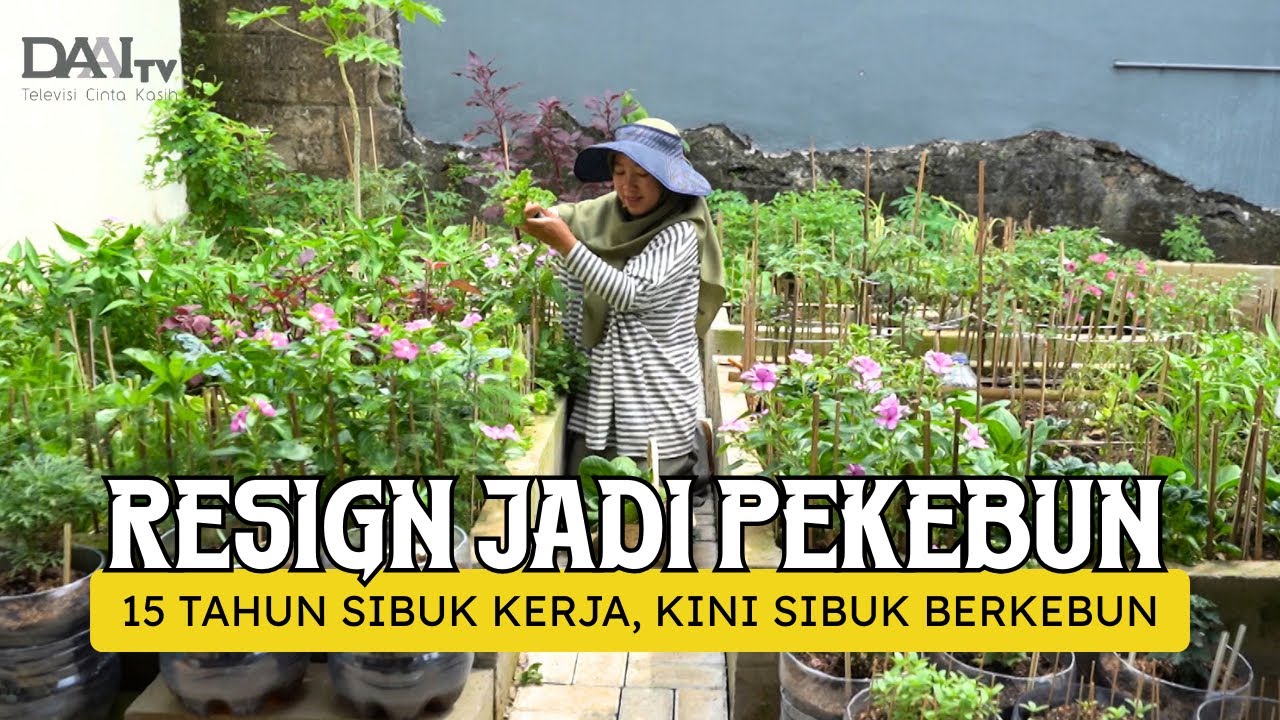 15 Tahun Jadi Pegawai Kantoran, Pilih Resign Jadi Petani