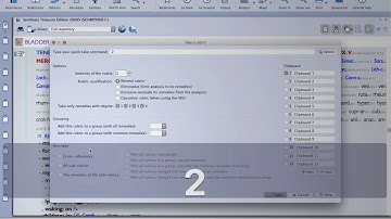 Vithoulkas Expert System in RadarOpus + More!