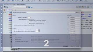 Vithoulkas Expert System in RadarOpus + More!