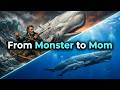 From Monster To Mom: Reimagining The Sperm Whale