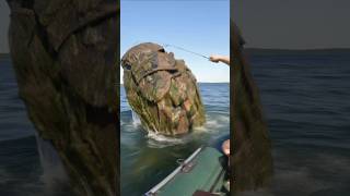 Where did this come from in our lake? I don't understand anything...