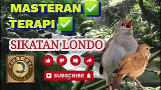 SIKATAN LONDO   SUARA AIR MENGALIR || MASTERAN HANDAL || TERAPI BURUNG