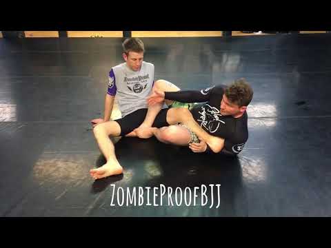 Taza Foot, Cummings Butterfly & Inside Triangle HeelHook Foot Positions - ZombieProofBJJ (NoGi)