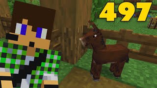 Minecraft ITA S6 E497