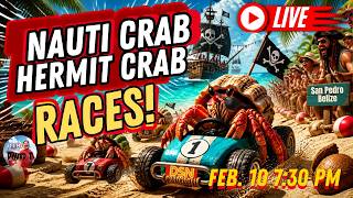 🔴 LIVE - BELIZE IT OR NOT: The Great San Pedro Crustacean Dash