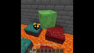 slime Vs magma cube iq test