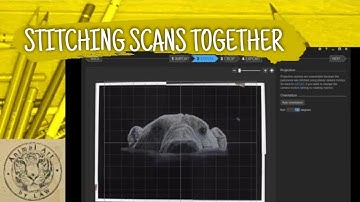 Stitching Scans together using Microsoft ICE