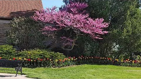 BEST PICNIC SPOT IN NIAGARA, ONTARIO 🇨🇦#touristdestination #travelniagara #travelcanada